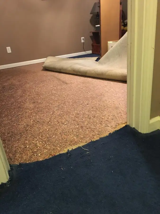 Carpet pad removal revealing water damage during Drying & Dehumidification in Wickliffe