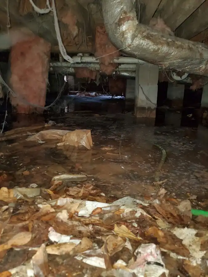 Crawl space flood assessment for Commercial Water Damage Restoration in Wickliffe