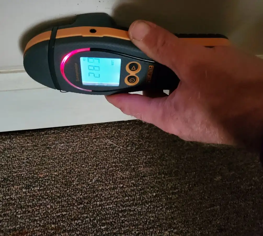 Moisture detection at baseboard during Burst Pipe Cleanup in Wickliffe